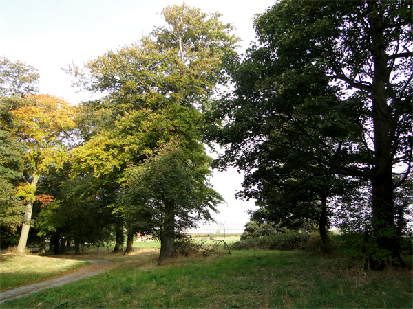 South Ferriby Countryside