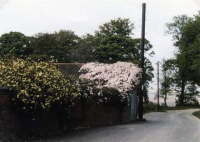 A view in South Ferriby village
